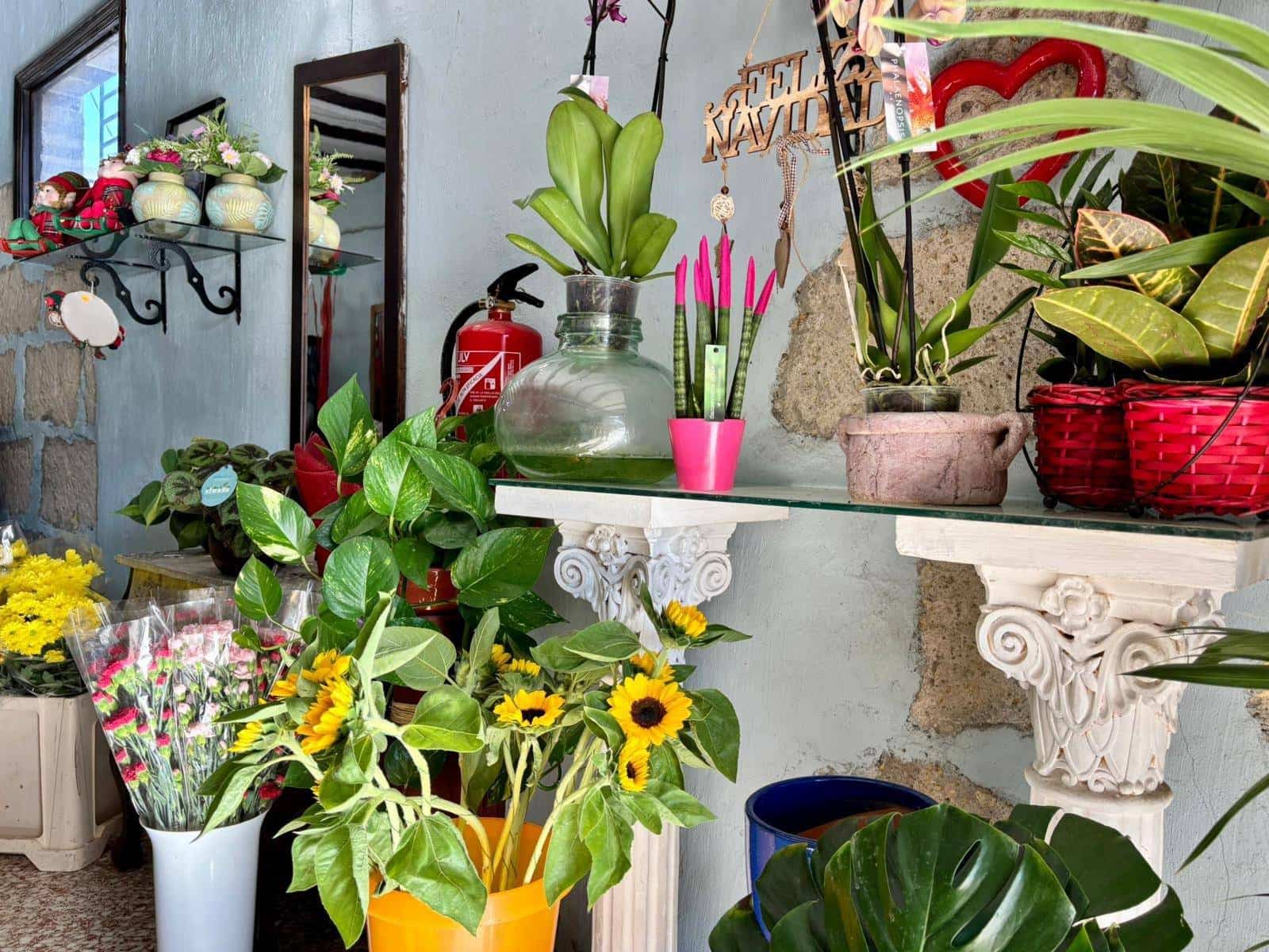 Commerciale da affittare in Guimar - 400 € (Rif: 9301051)