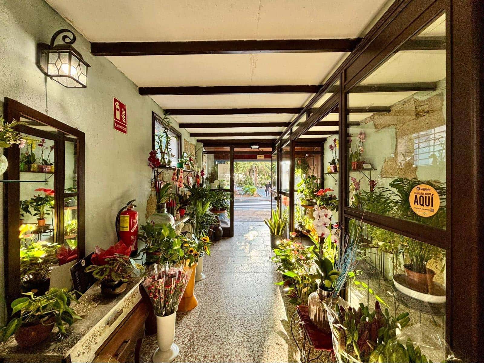 Commerciale da affittare in Guimar - 400 € (Rif: 9301051)