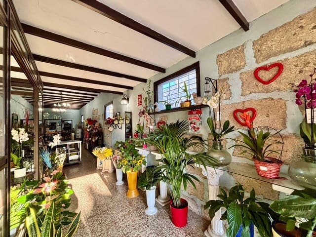 Gewerbe zu vermieten in Güímar - 400 € (Ref: 9301051)