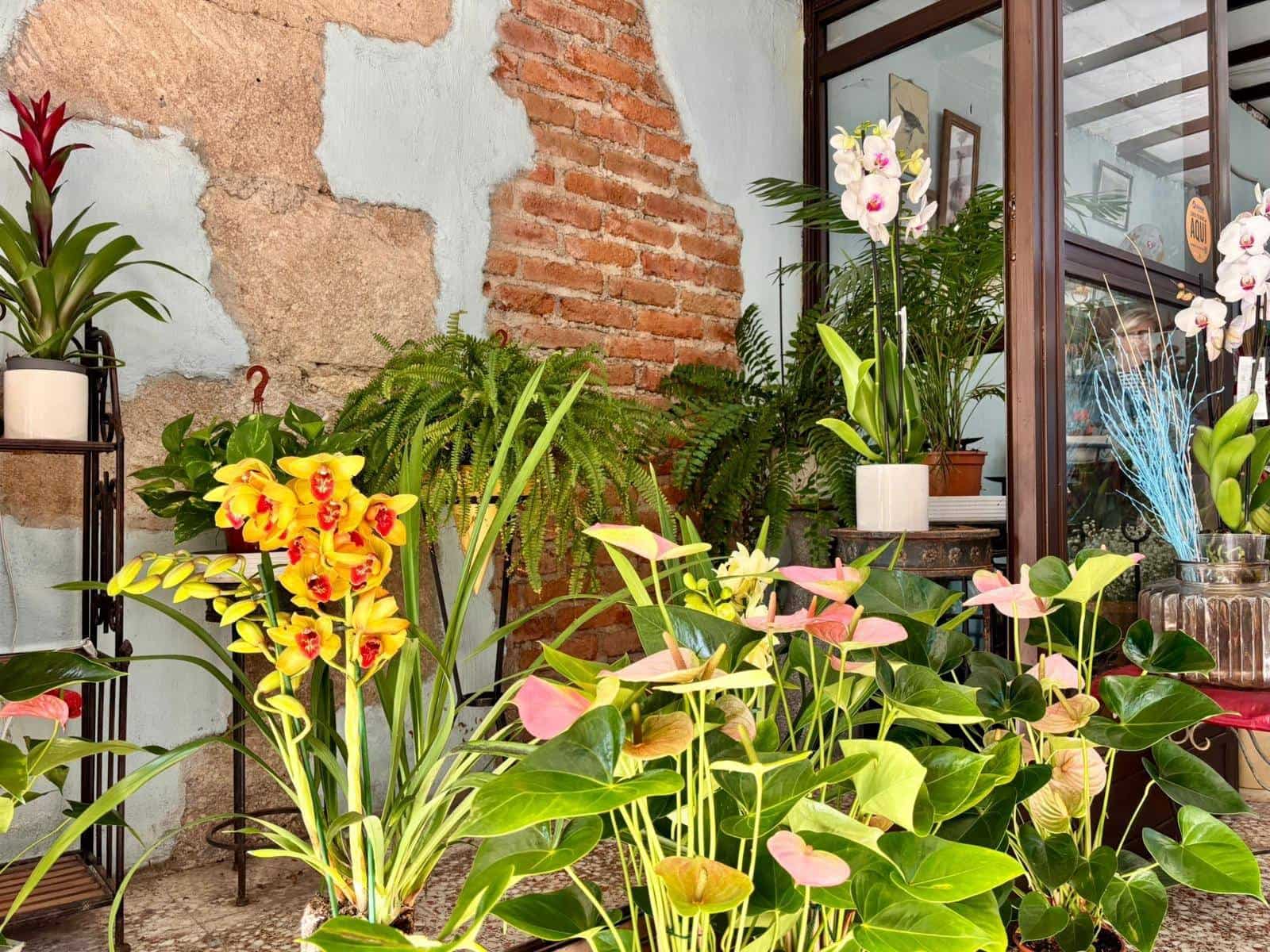 Commerciale da affittare in Guimar - 400 € (Rif: 9301051)