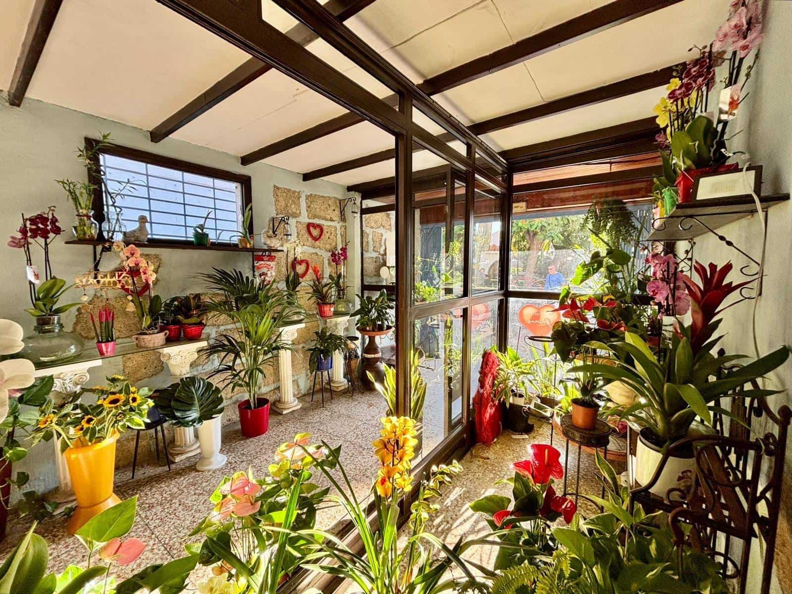 Commerciale da affittare in Guimar - 400 € (Rif: 9301051)