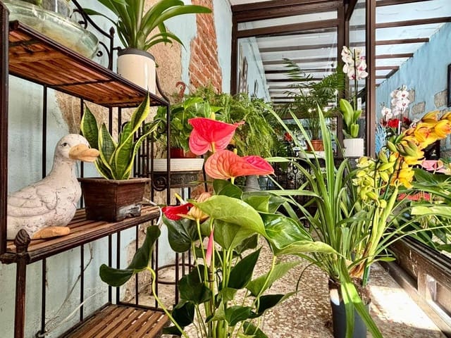 Gewerbe zu vermieten in Güímar - 400 € (Ref: 9301051)