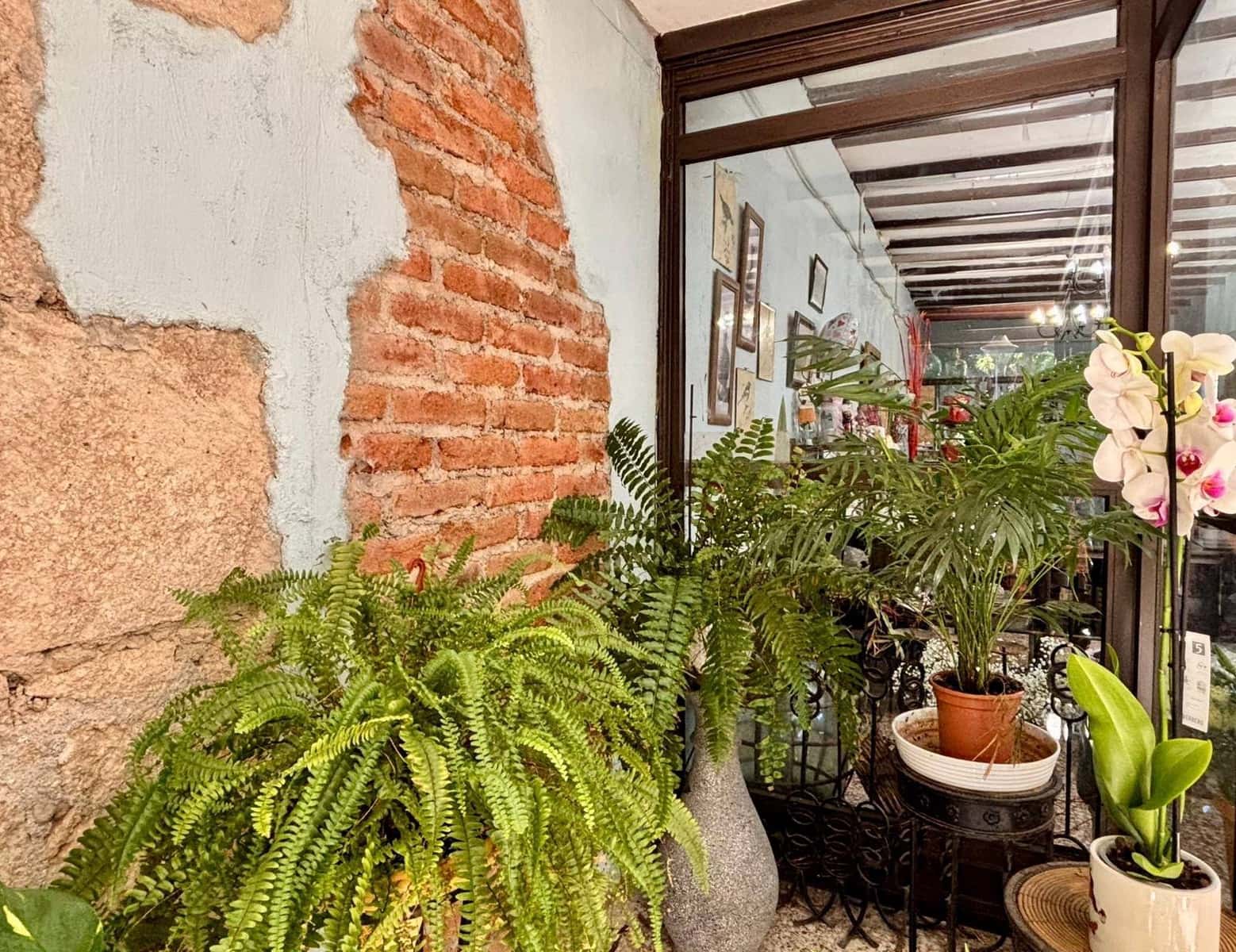 Commerciale da affittare in Guimar - 400 € (Rif: 9301051)