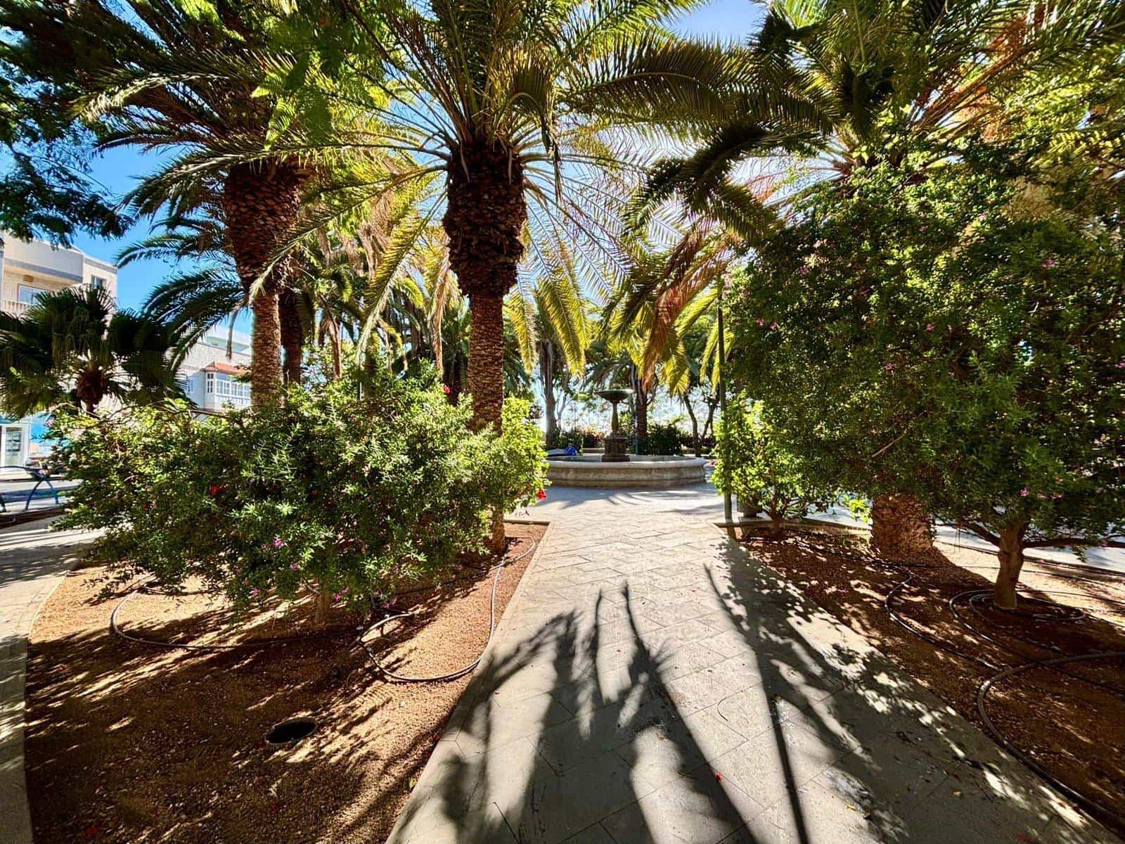 Commerciale da affittare in Guimar - 400 € (Rif: 9301051)