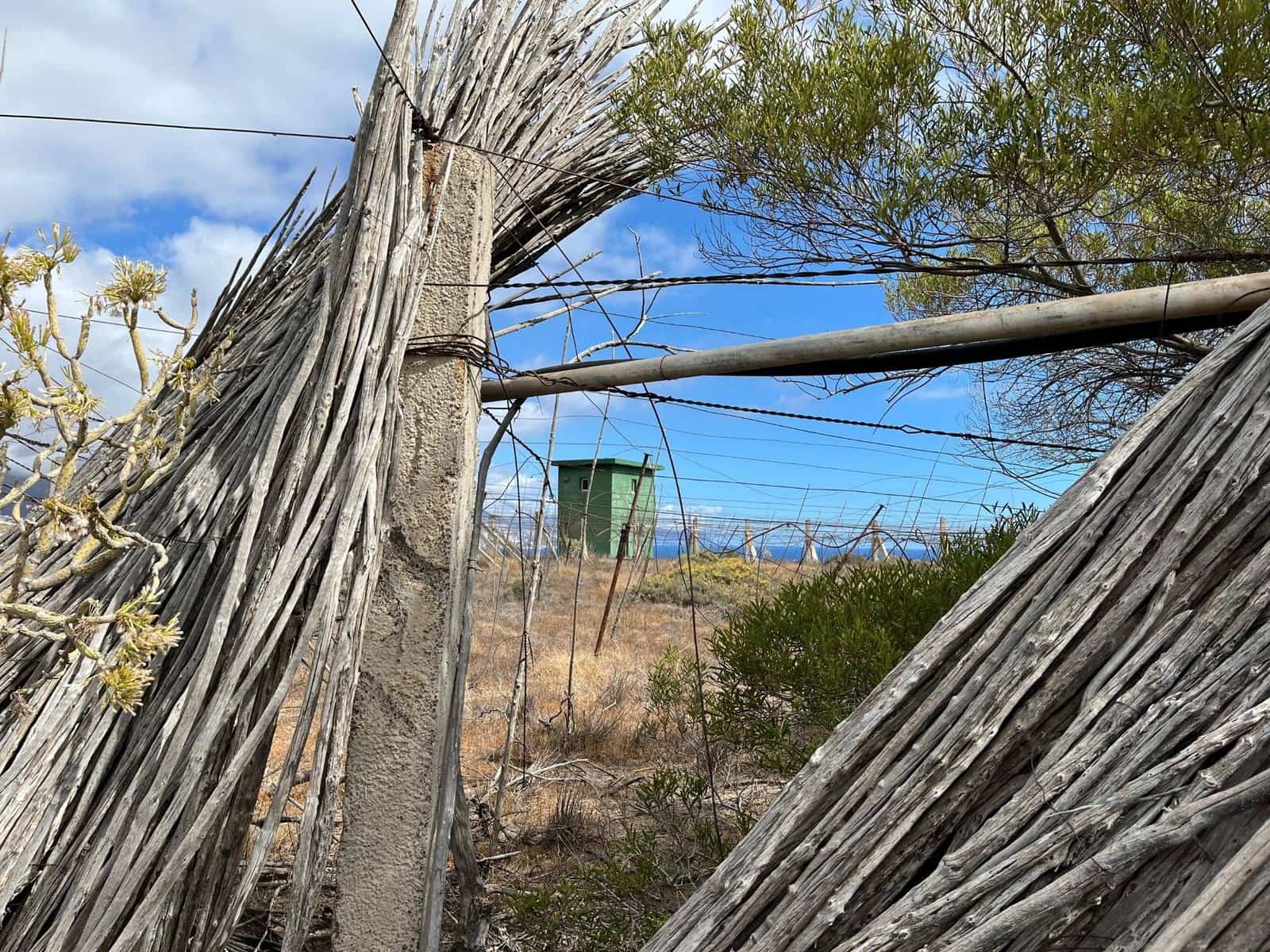 9 soveværelse Villa til salg i Arafo med garage - € 1.075.000 (Ref: 9326467)