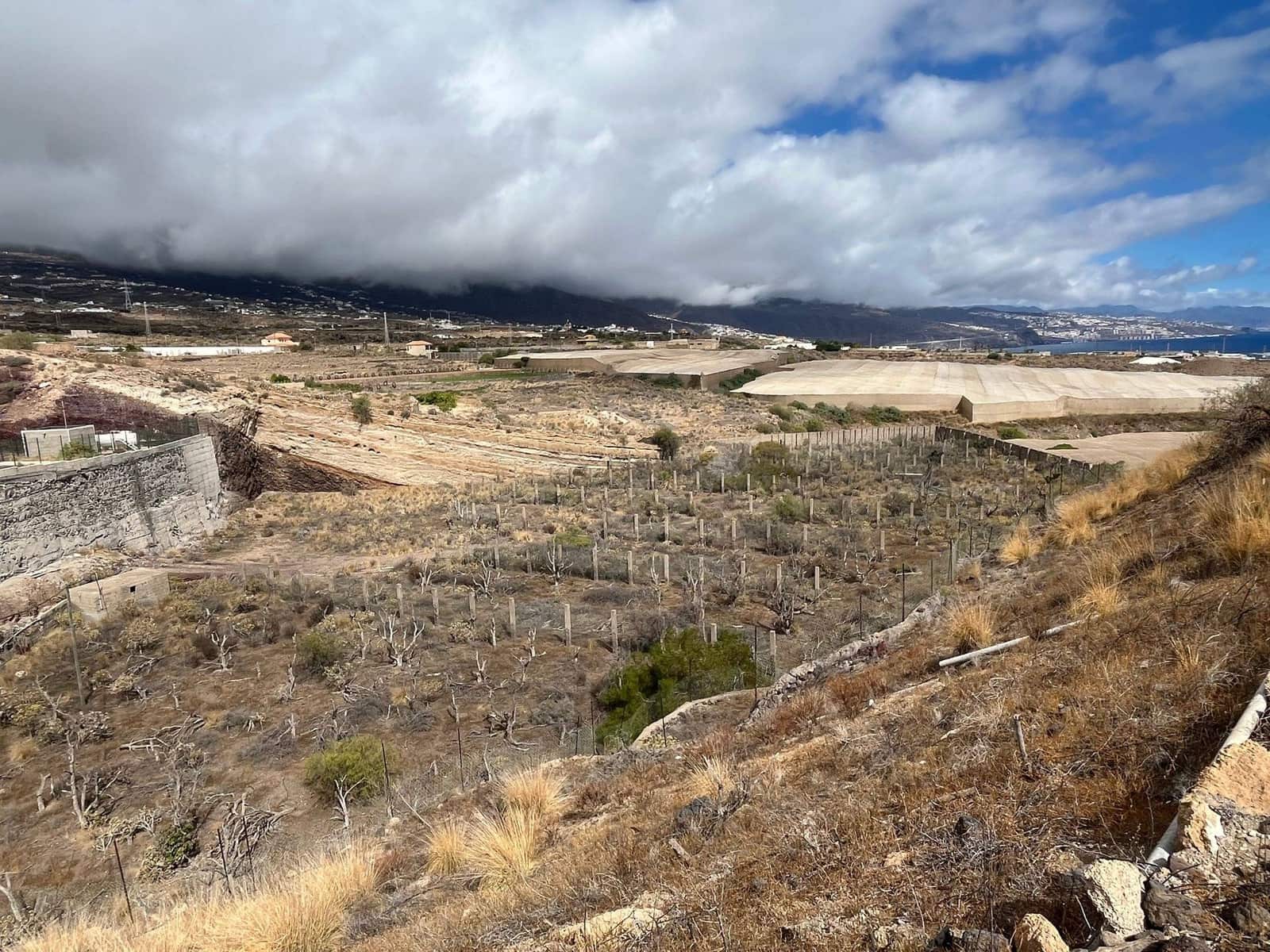 9 chambre Villa/Maison à vendre à Arafo avec garage - 1 075 000 € (Ref: 9326467)