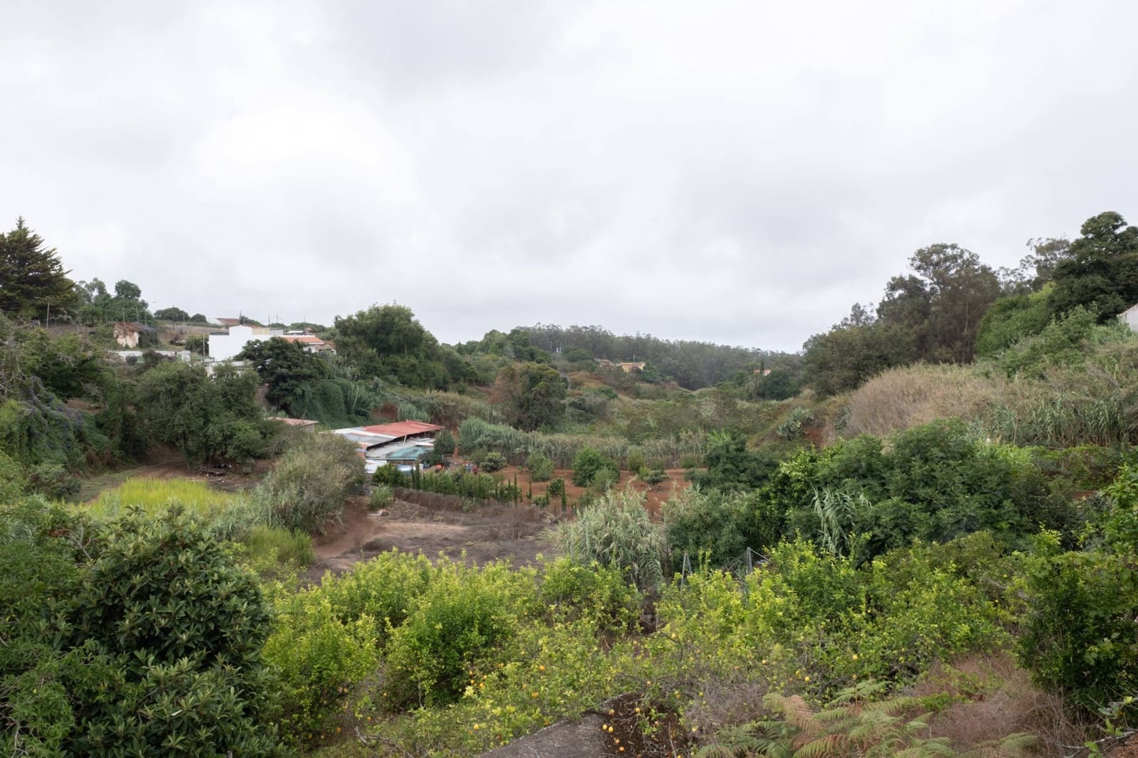 3 soverom Finca/Herregård til salgs i Valleseco - € 240 000 (Ref: 9341205)