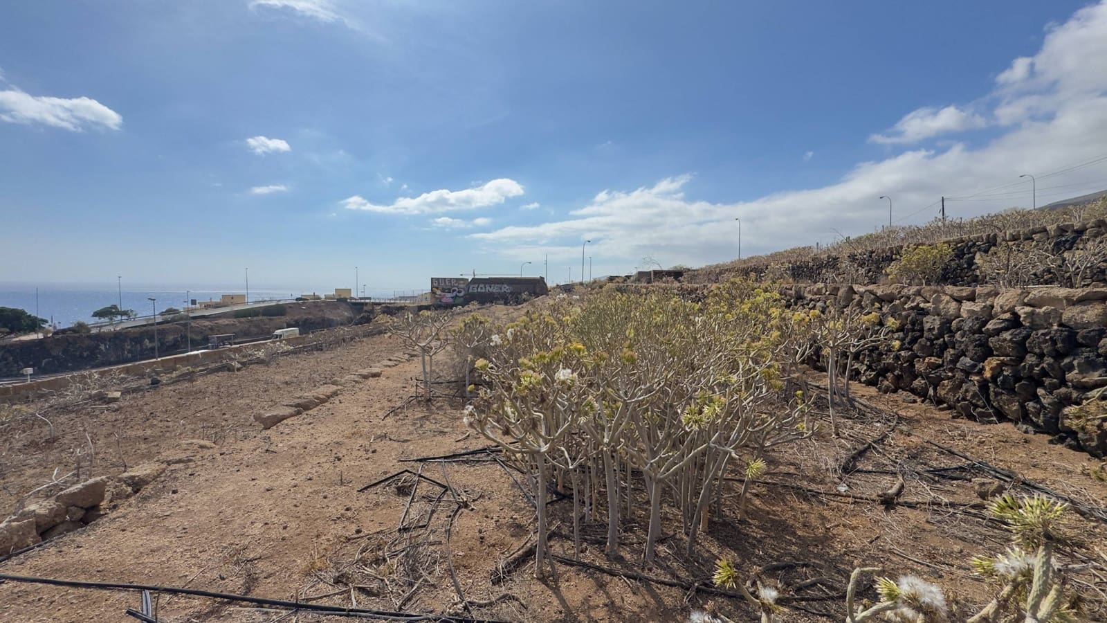 Tomt till salu i Candelaria - 340 000 € (Ref: 9347356)