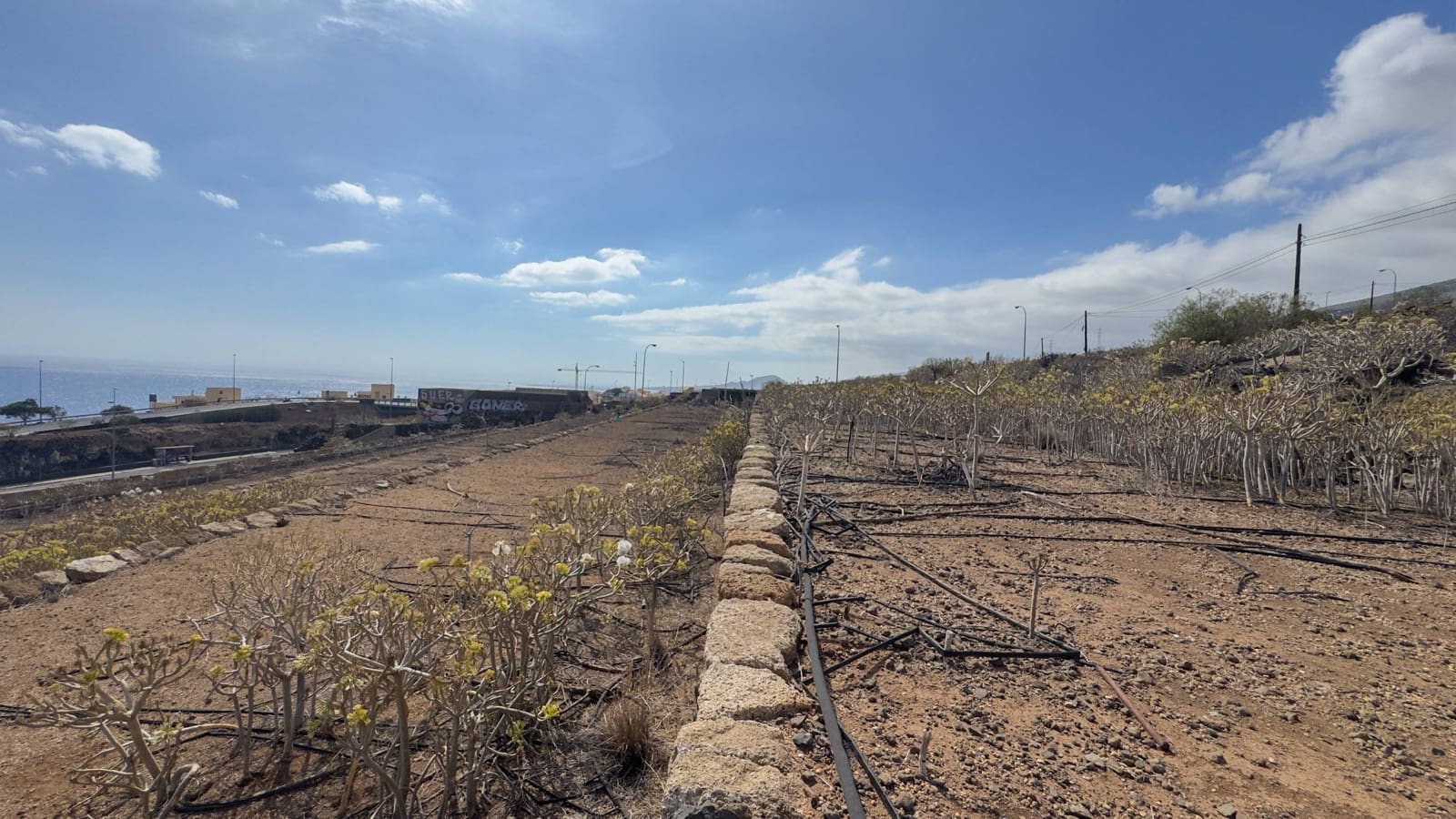 Terreno para Construção para venda em Candelaria - 340 000 € (Ref: 9347356)