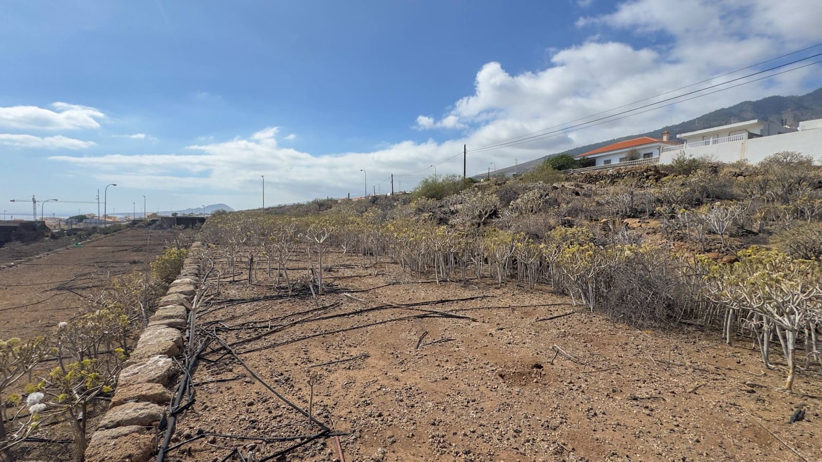 Terreno para Construção para venda em Candelaria - 340 000 € (Ref: 9347356)