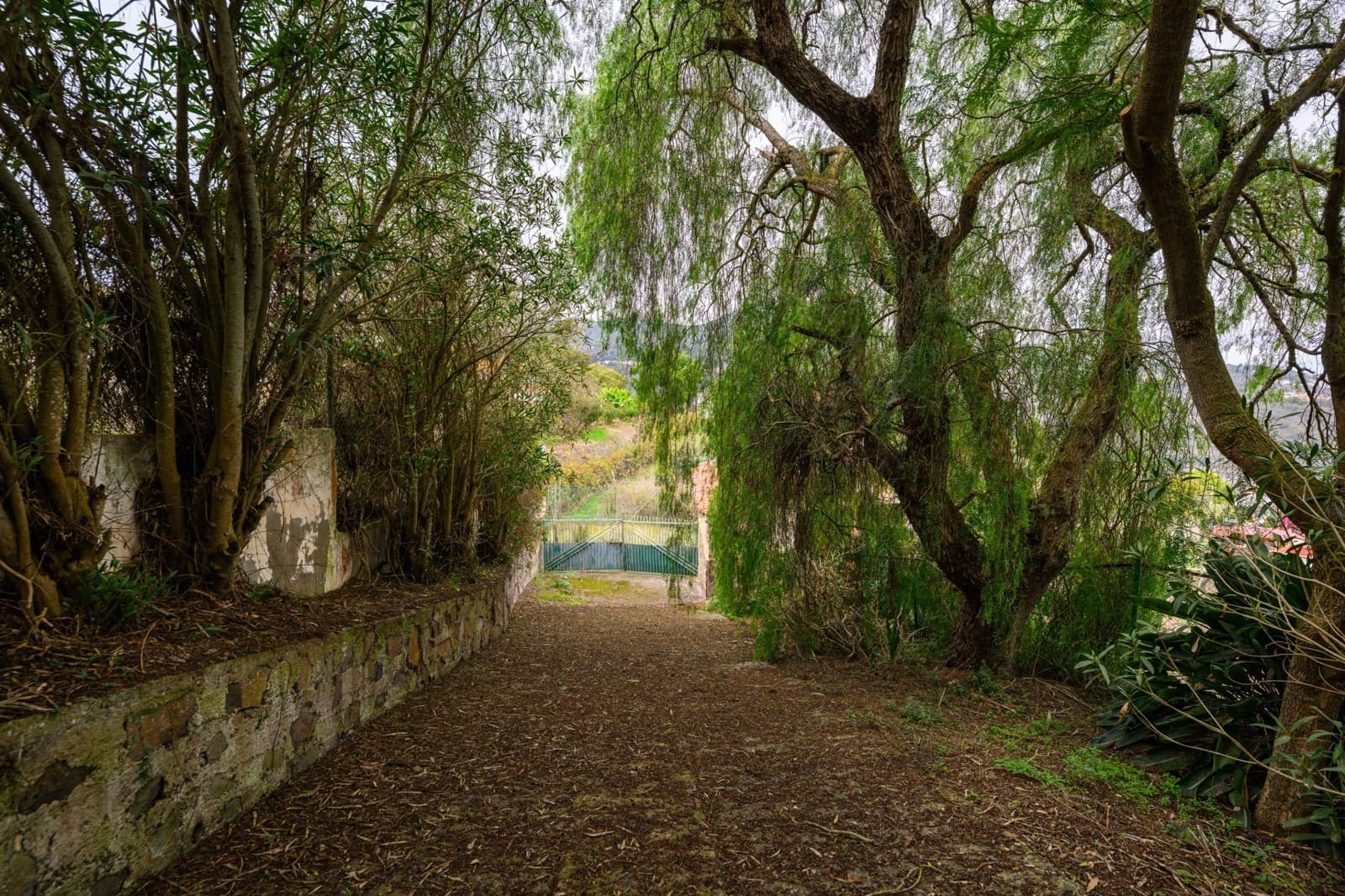 5 slaapkamer Villa te koop in Teror met garage - € 700.000 (Ref: 9367514)