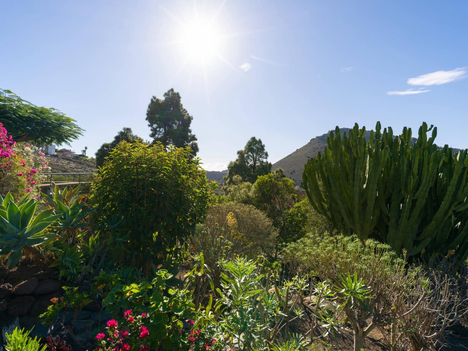 3 quarto Moradia para venda em Las Palmas de Gran Canaria - 930 000 € (Ref: 9422455)