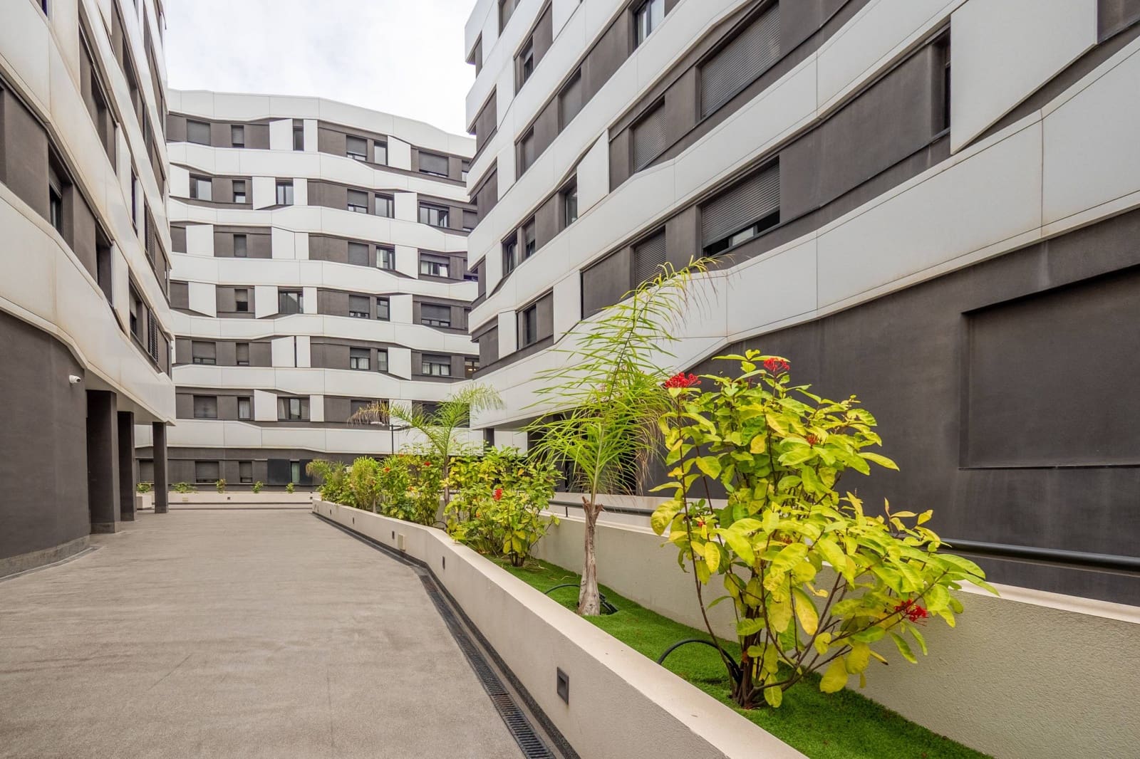 4 sovrum Lägenhet att hyra i Las Palmas de Gran Canaria med pool garage - 1 500 € (Ref: 9422456)