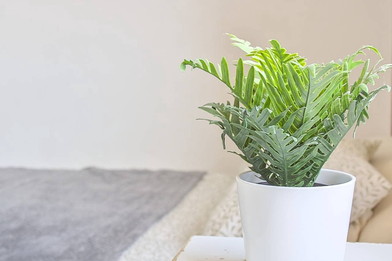 5 slaapkamer Villa te koop in Teror met garage - € 284.970 (Ref: 9422457)