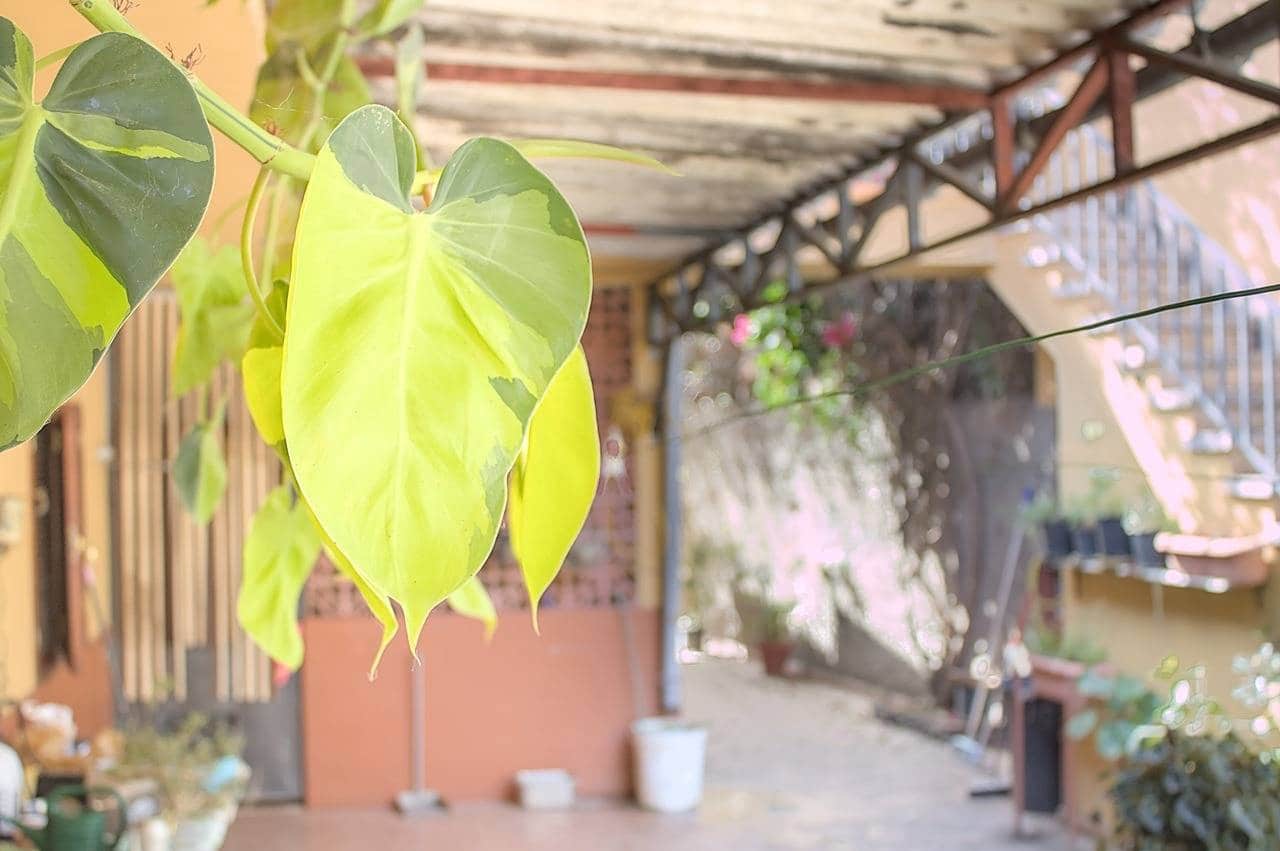 5 slaapkamer Villa te koop in Teror met garage - € 284.970 (Ref: 9422457)