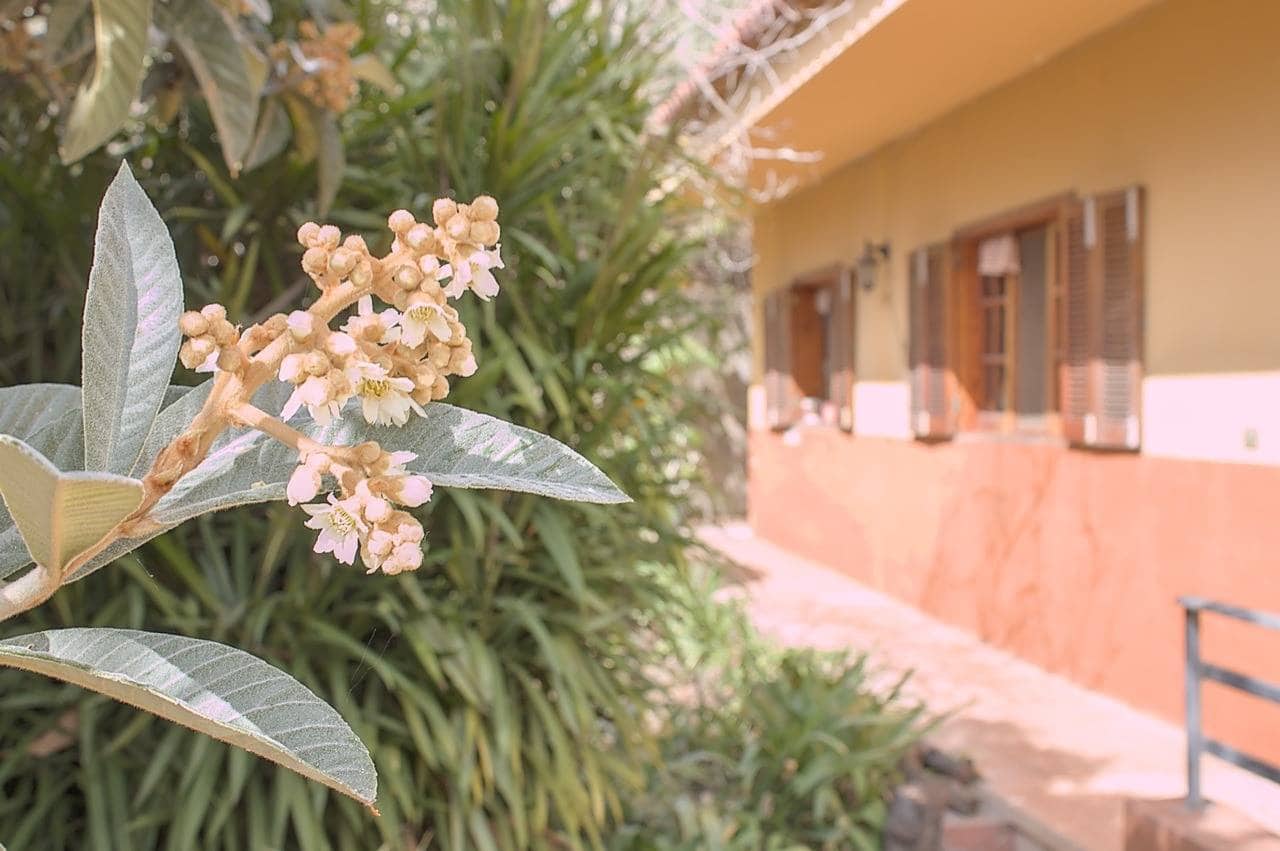 5 camera da letto Villa in vendita in Teror con garage - 284.970 € (Rif: 9422457)