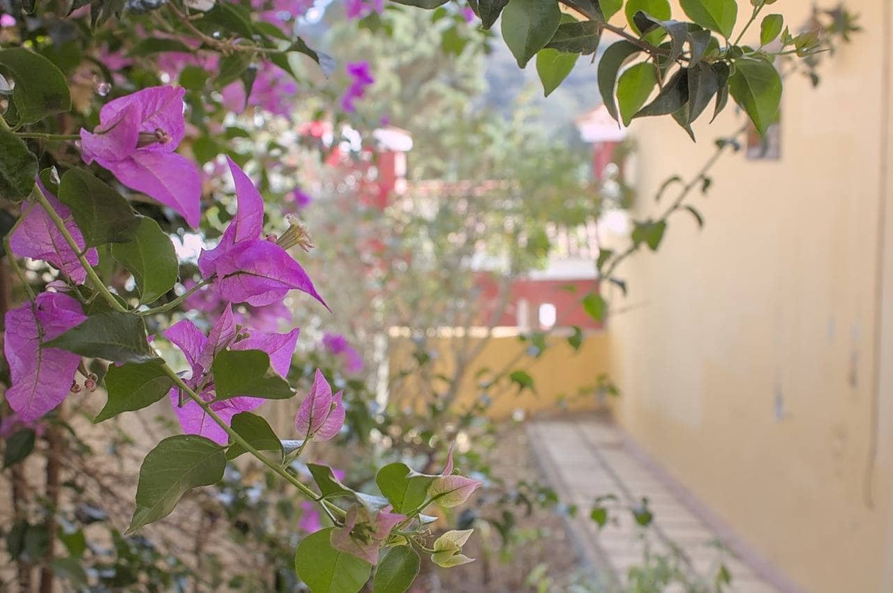 5 camera da letto Villa in vendita in Teror con garage - 284.970 € (Rif: 9422457)