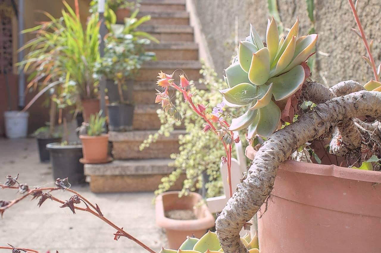 5 camera da letto Villa in vendita in Teror con garage - 284.970 € (Rif: 9422457)