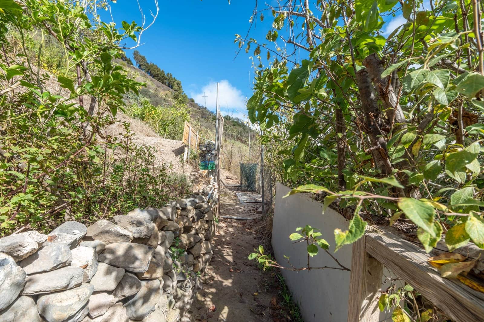 2 sypialnia Finka/Dom wiejski na sprzedaż w Valleseco - 65 000 € (Ref: 9452131)