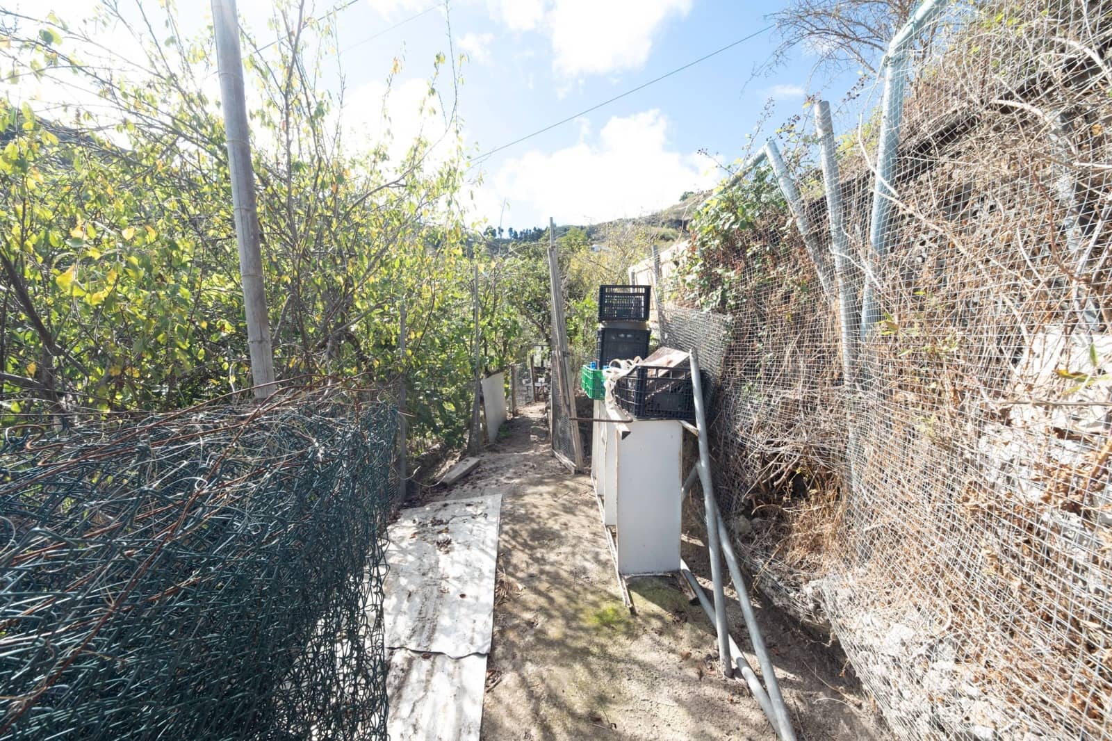 2 sypialnia Finka/Dom wiejski na sprzedaż w Valleseco - 65 000 € (Ref: 9452131)