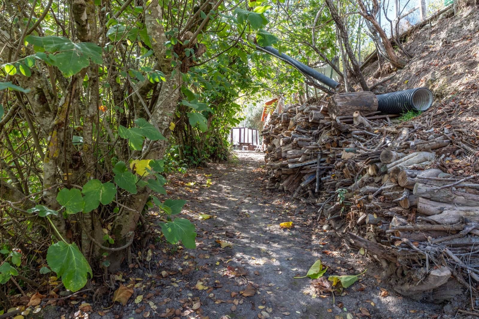 2 sypialnia Finka/Dom wiejski na sprzedaż w Valleseco - 65 000 € (Ref: 9452131)