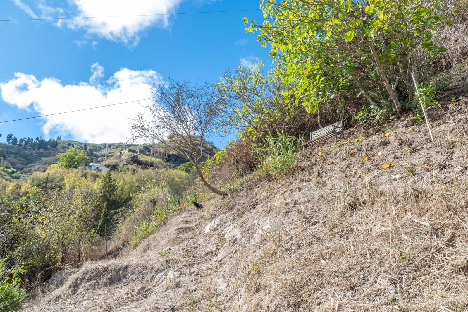 2 sypialnia Finka/Dom wiejski na sprzedaż w Valleseco - 65 000 € (Ref: 9452131)