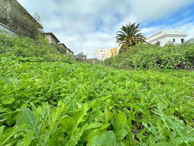 Area Edificabile in vendita in Firgas - 67.915 € (Rif: 9518917)