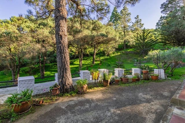 3 sypialnia Finka/Dom wiejski na sprzedaż w Telde - 325 000 € (Ref: 9604988)