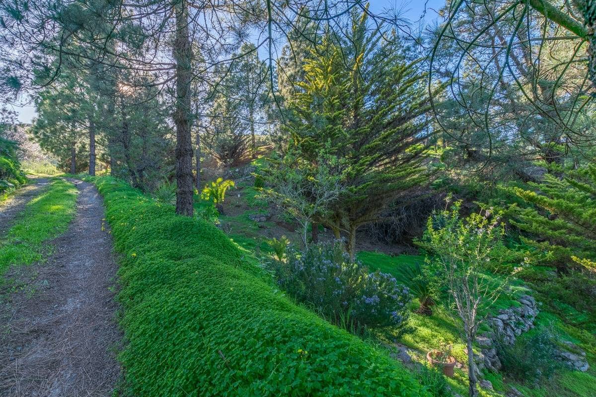 3 sypialnia Finka/Dom wiejski na sprzedaż w Telde - 325 000 € (Ref: 9604988)