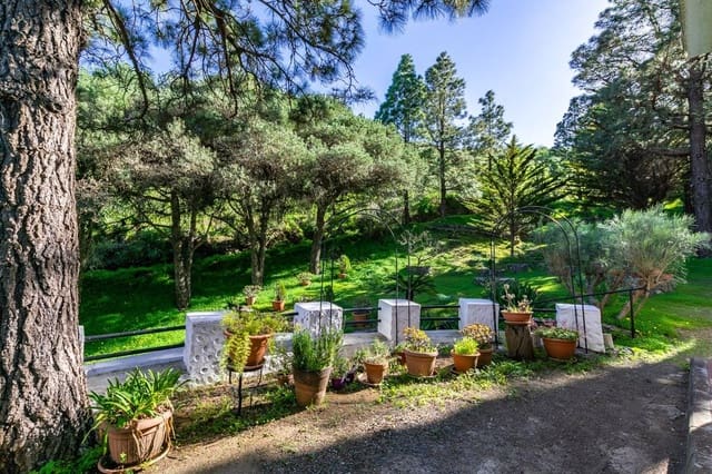 3 sypialnia Finka/Dom wiejski na sprzedaż w Telde - 325 000 € (Ref: 9604988)