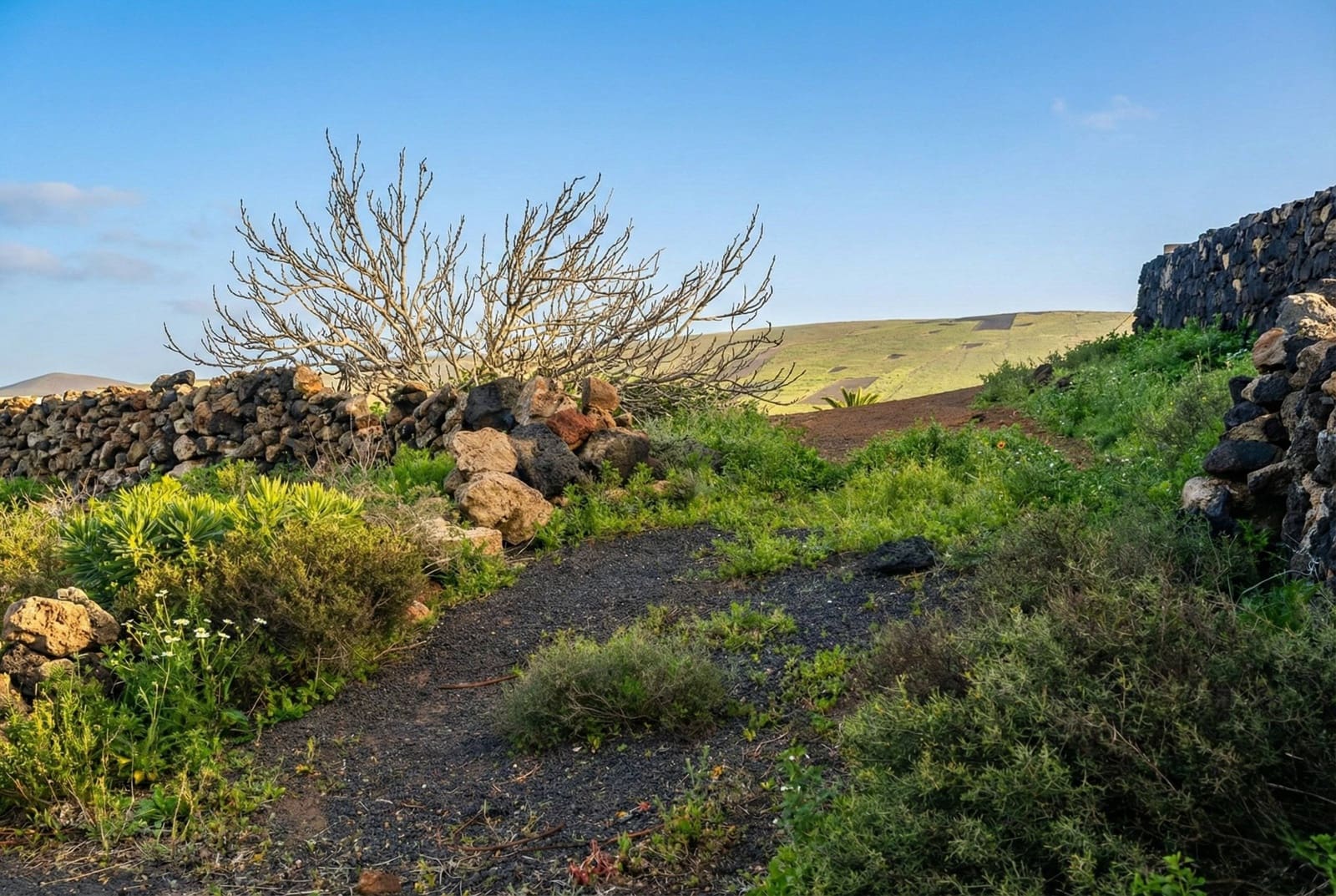 Building Plot for sale in Teguise - € 140,000 (Ref: 9611541)