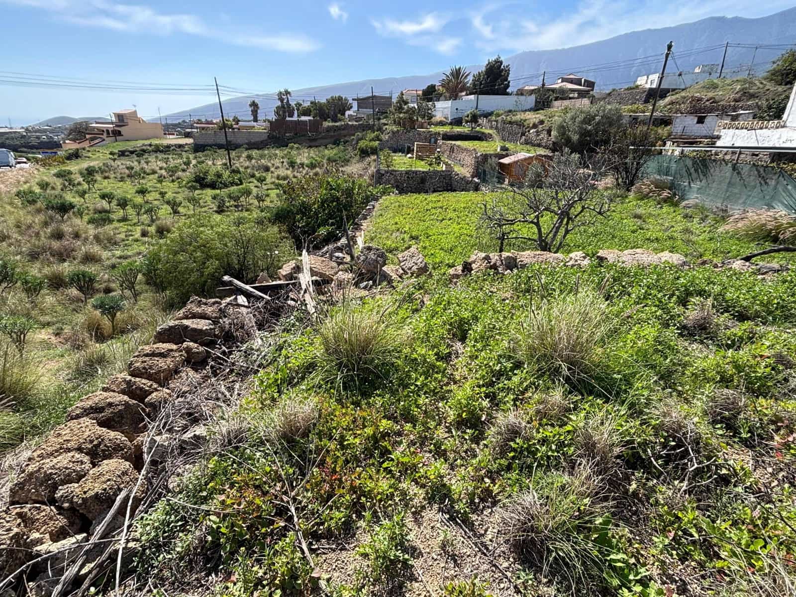 Tontti myytävänä paikassa Arafo - 59 500 € (Ref: 9619235)