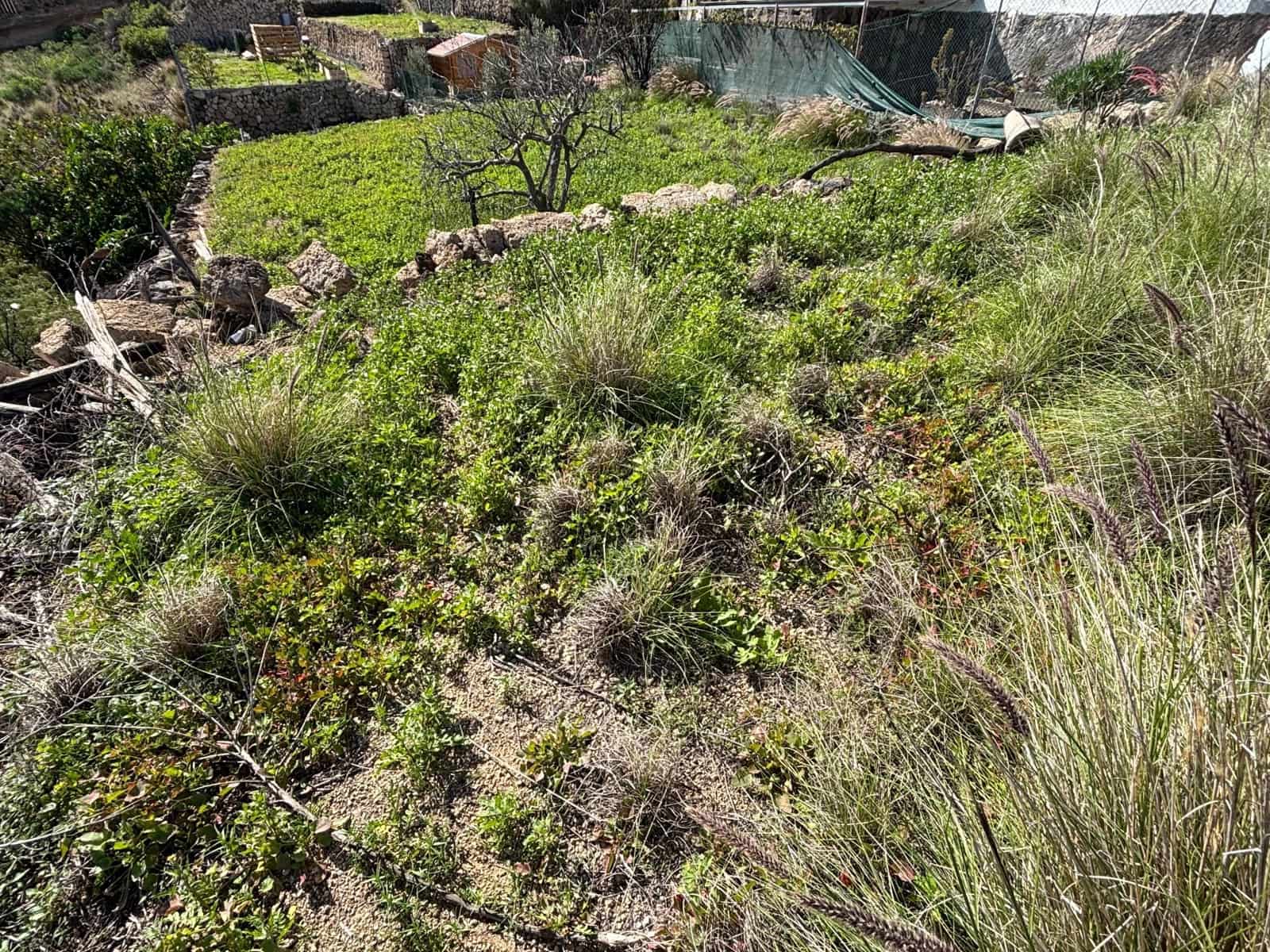 Tontti myytävänä paikassa Arafo - 59 500 € (Ref: 9619235)