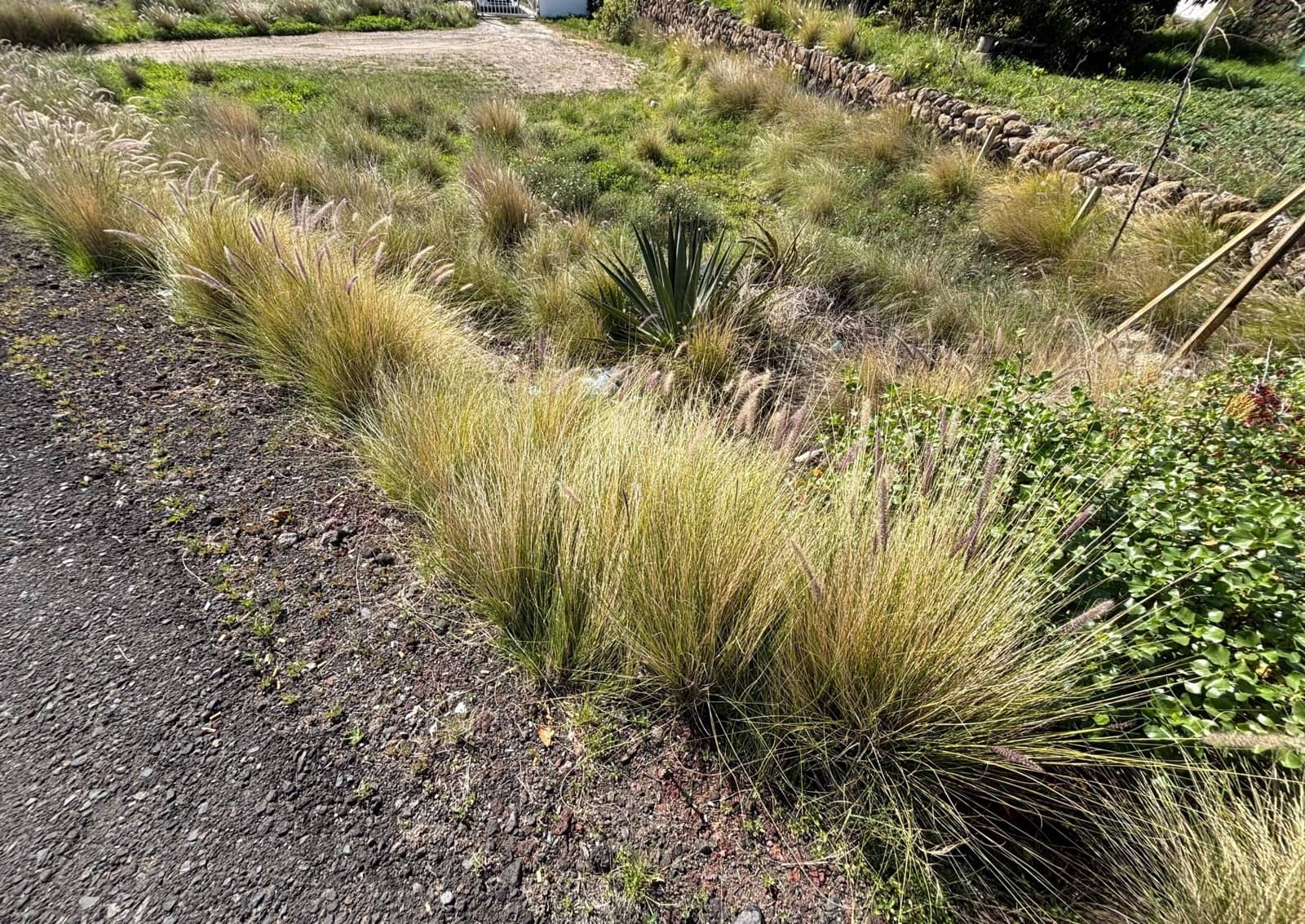 Tontti myytävänä paikassa Arafo - 59 500 € (Ref: 9619235)