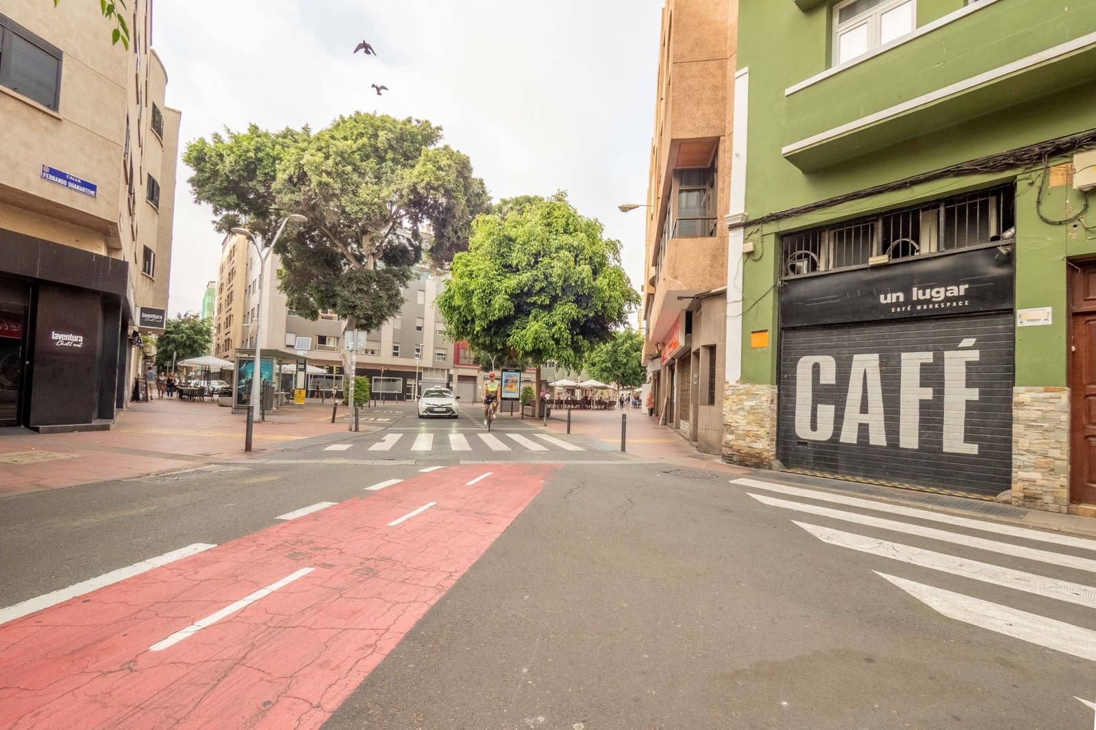 Studio for rent in Las Palmas de Gran Canaria - € 1,000 (Ref: 9726647)