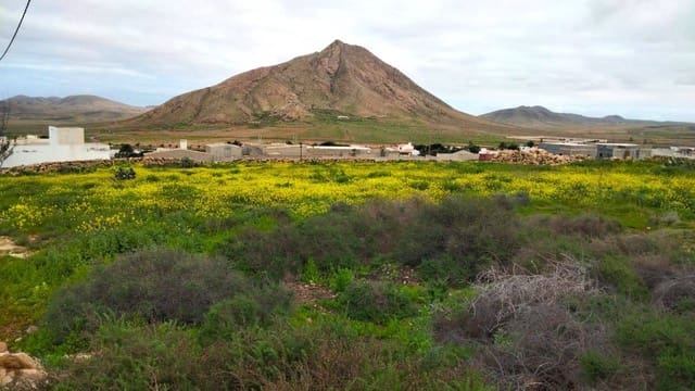 Bouwgrond te koop in Tindaya, La Oliva - € 139.000 (Ref: 9770670)