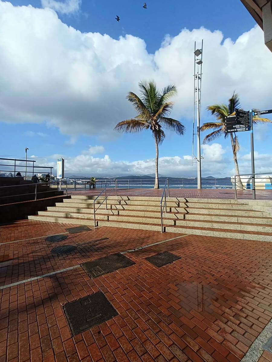 Studio for rent in Las Palmas de Gran Canaria - € 950 (Ref: 9770673)