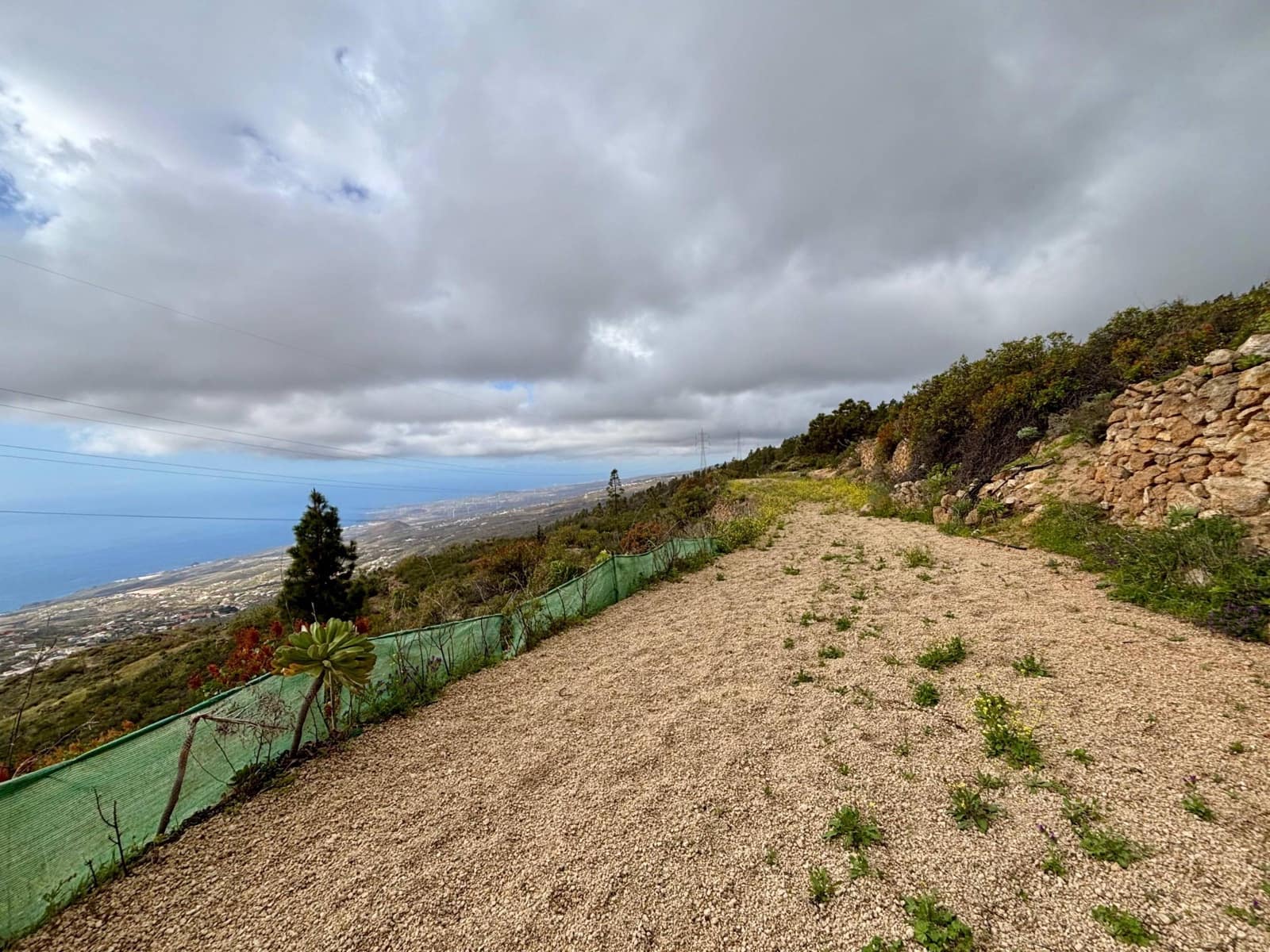 Terre non Aménagée à vendre à Guimar - 39 500 € (Ref: 9799265)