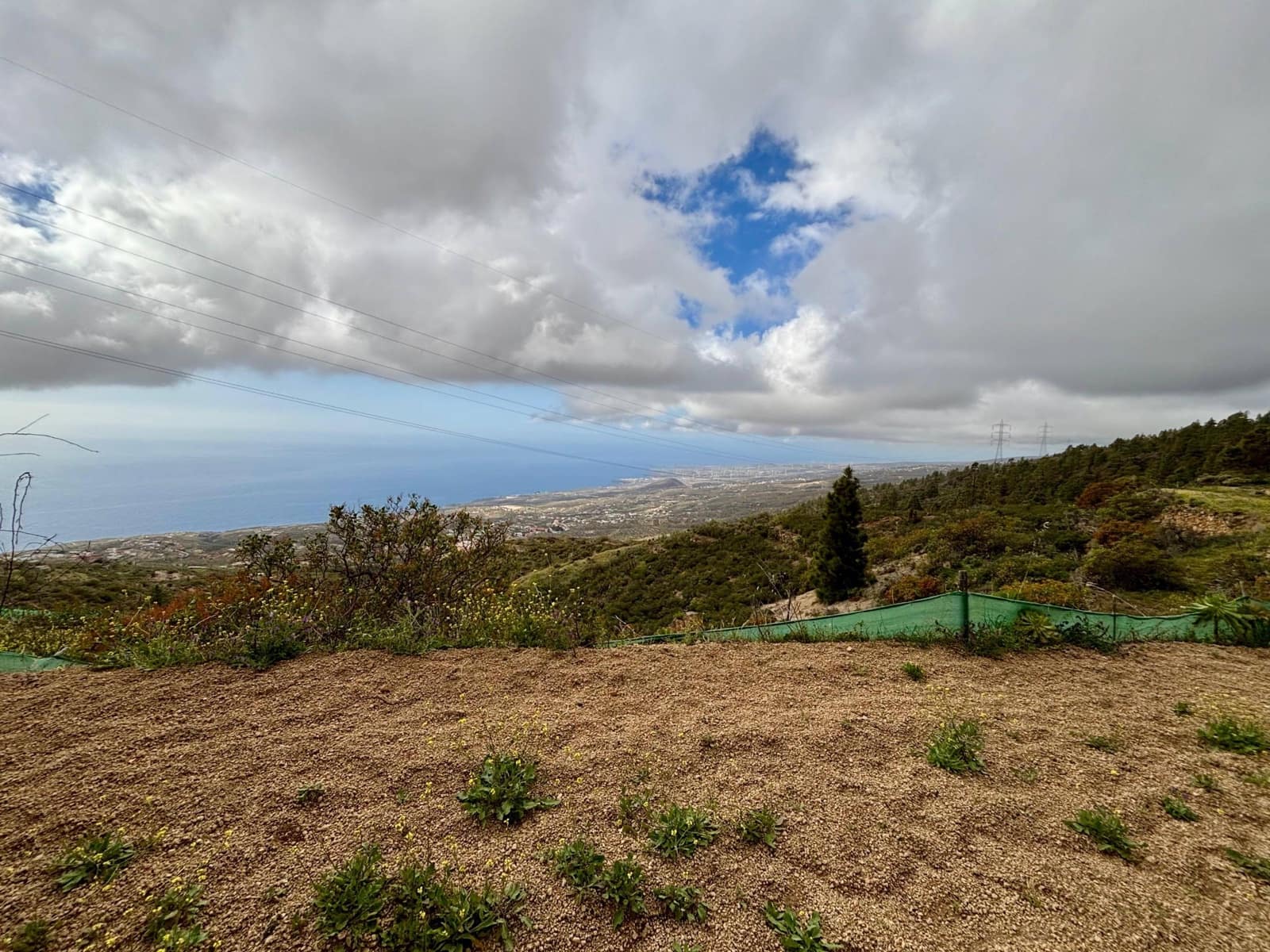 Terre non Aménagée à vendre à Guimar - 39 500 € (Ref: 9799265)