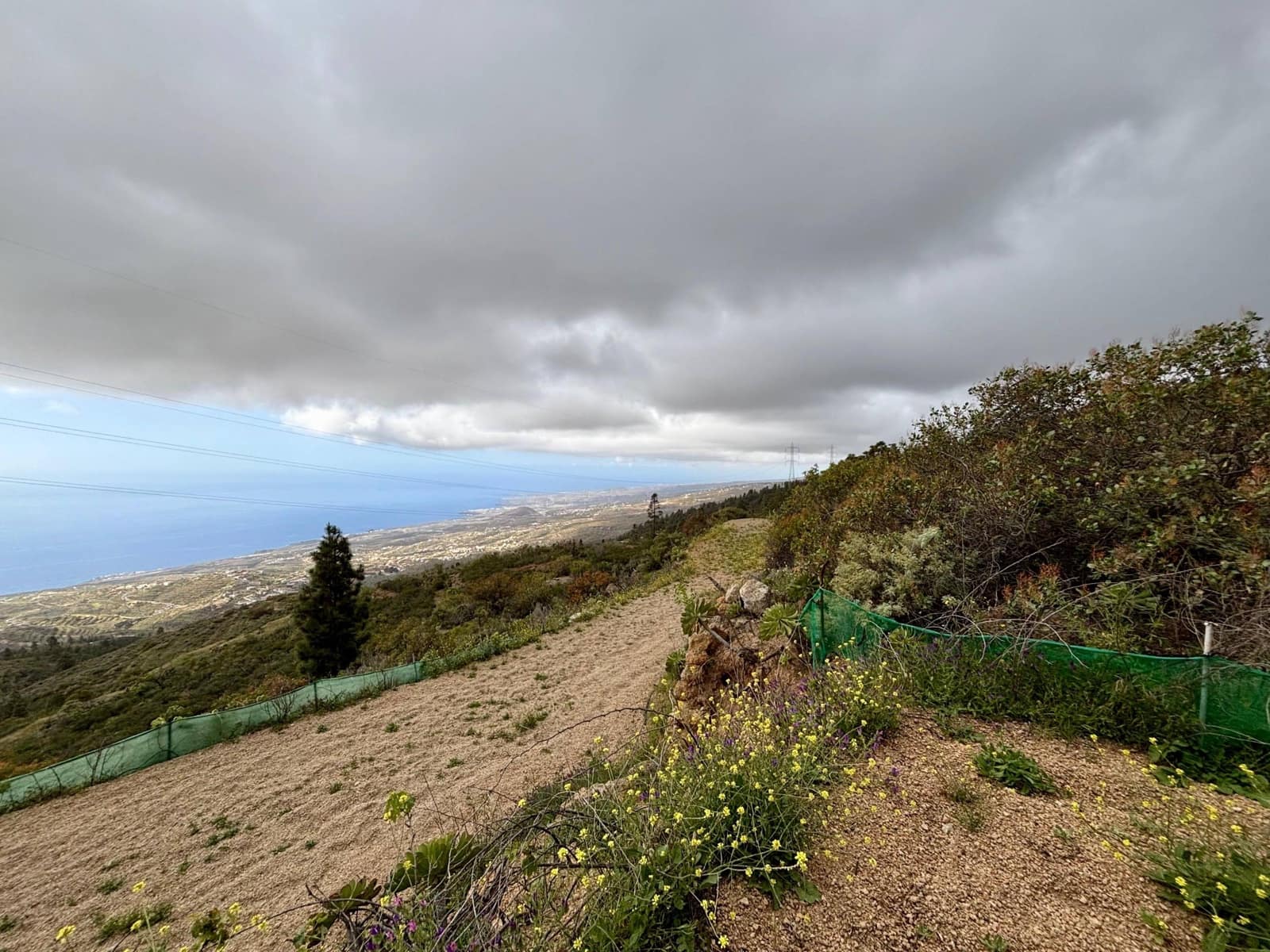 Terre non Aménagée à vendre à Guimar - 39 500 € (Ref: 9799265)