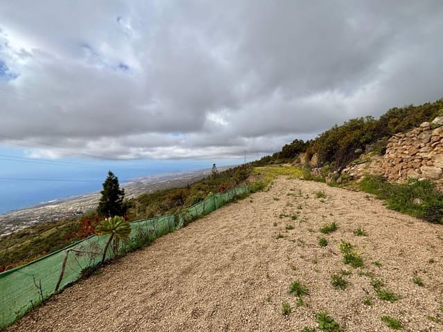 Terre non Aménagée à vendre à Güímar - 39 500 € (Ref: 9799265)