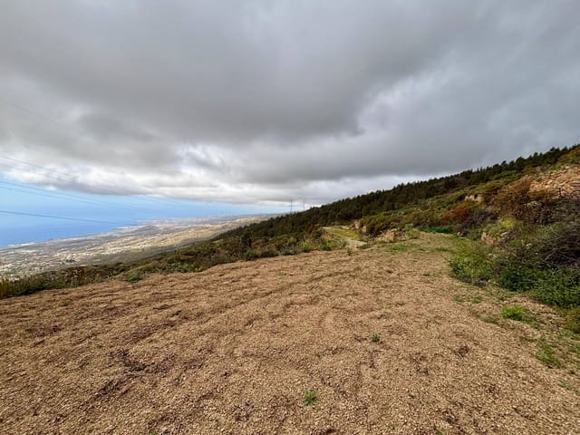 Terre non Aménagée à vendre à Güímar - 39 500 € (Ref: 9799265)