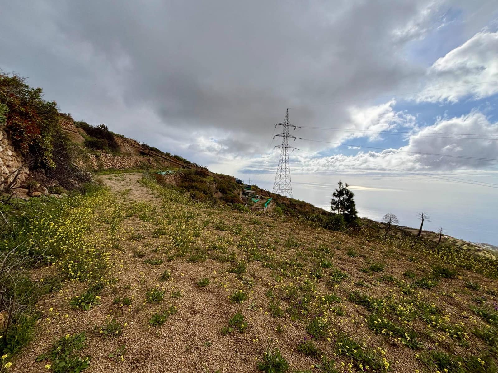 Terre non Aménagée à vendre à Guimar - 39 500 € (Ref: 9799265)