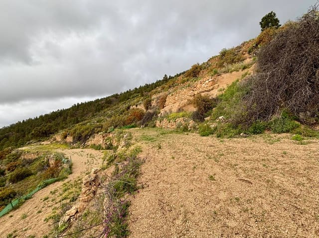 Terre non Aménagée à vendre à Güímar - 39 500 € (Ref: 9799265)