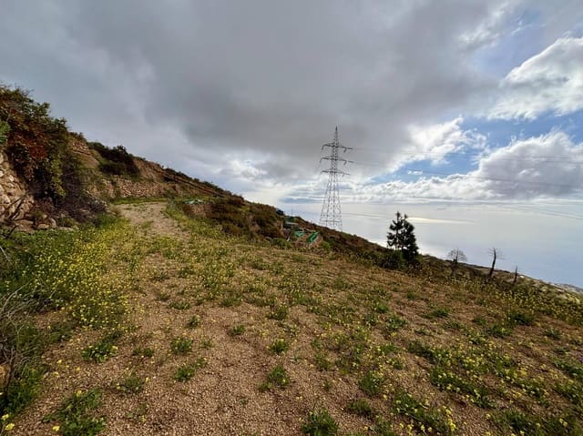 Terre non Aménagée à vendre à Güímar - 39 500 € (Ref: 9799265)