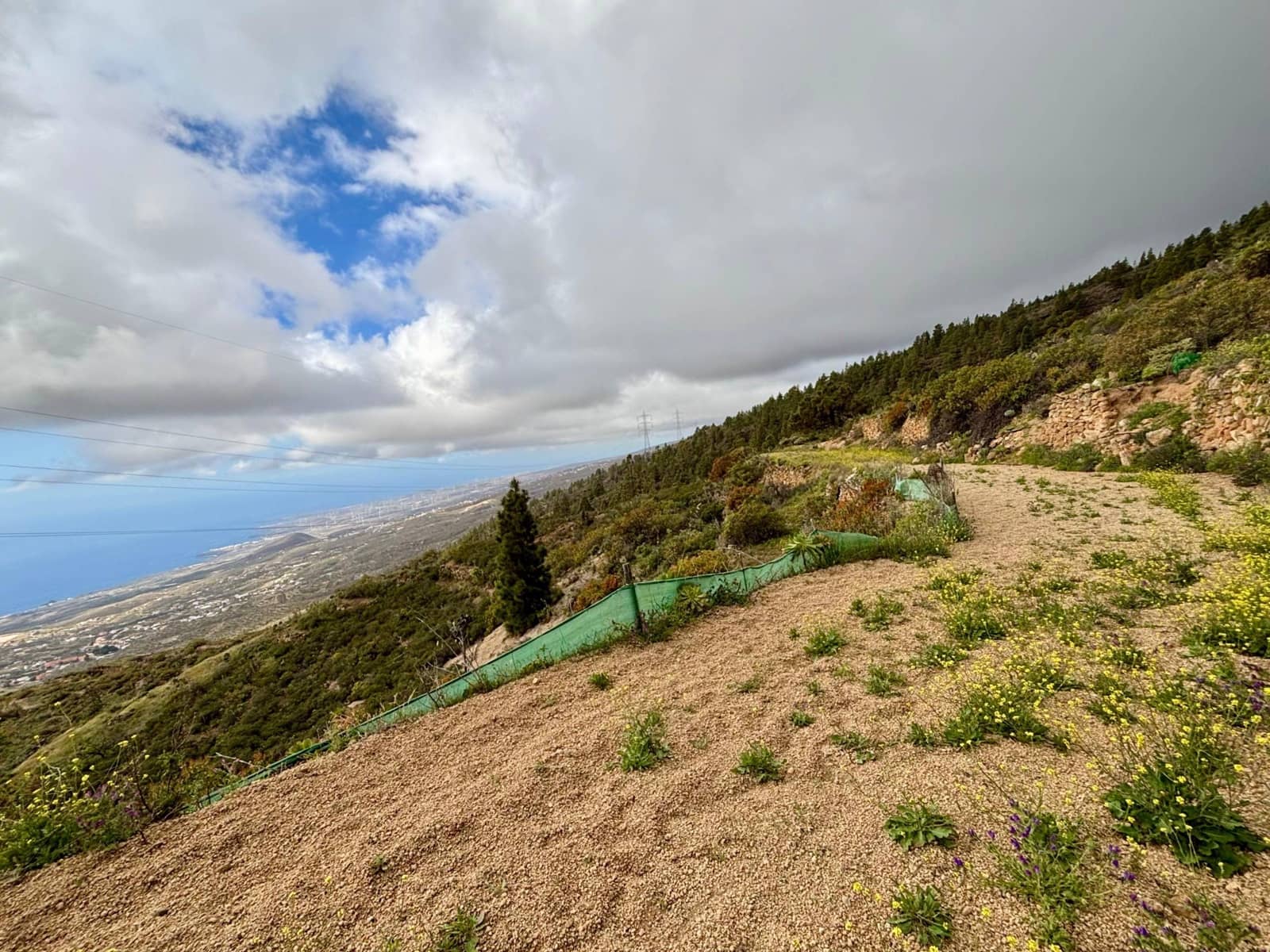 Terre non Aménagée à vendre à Guimar - 39 500 € (Ref: 9799265)