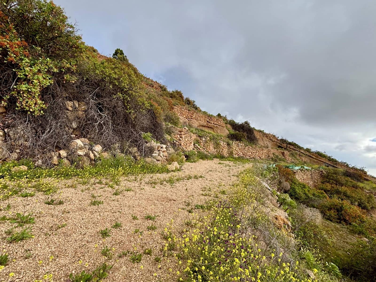 Terre non Aménagée à vendre à Guimar - 39 500 € (Ref: 9799265)