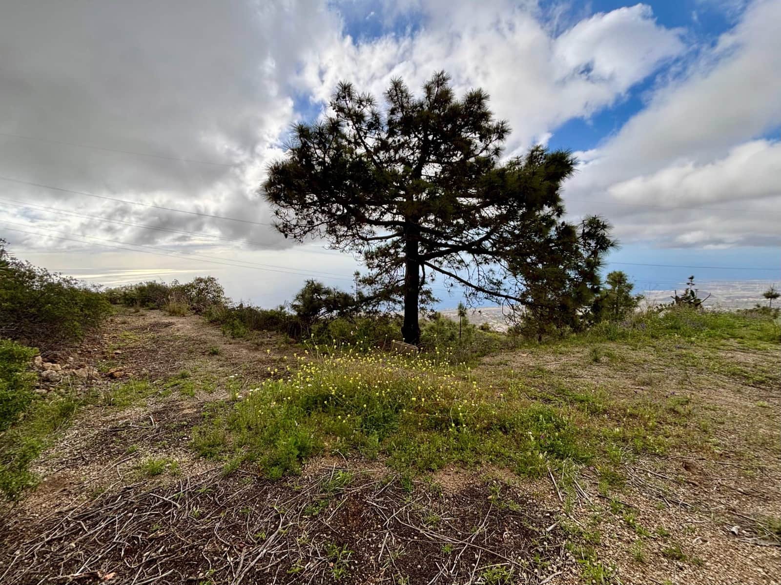 Terre non Aménagée à vendre à Guimar - 39 500 € (Ref: 9799265)