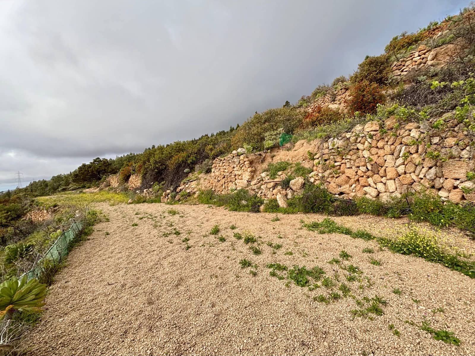 Terre non Aménagée à vendre à Guimar - 39 500 € (Ref: 9799265)