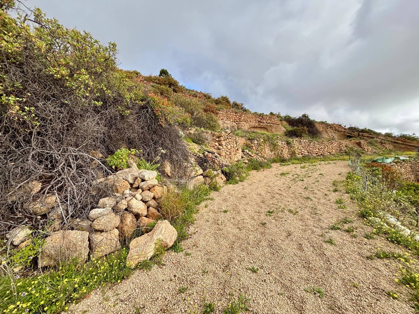 Terre non Aménagée à vendre à Guimar - 39 500 € (Ref: 9799265)